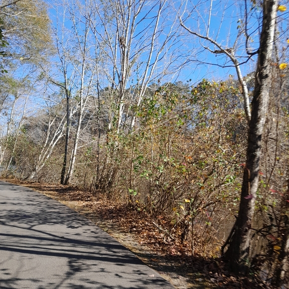 Meet your Posher!!!! 🙂🙃 - Picture 2 of 3